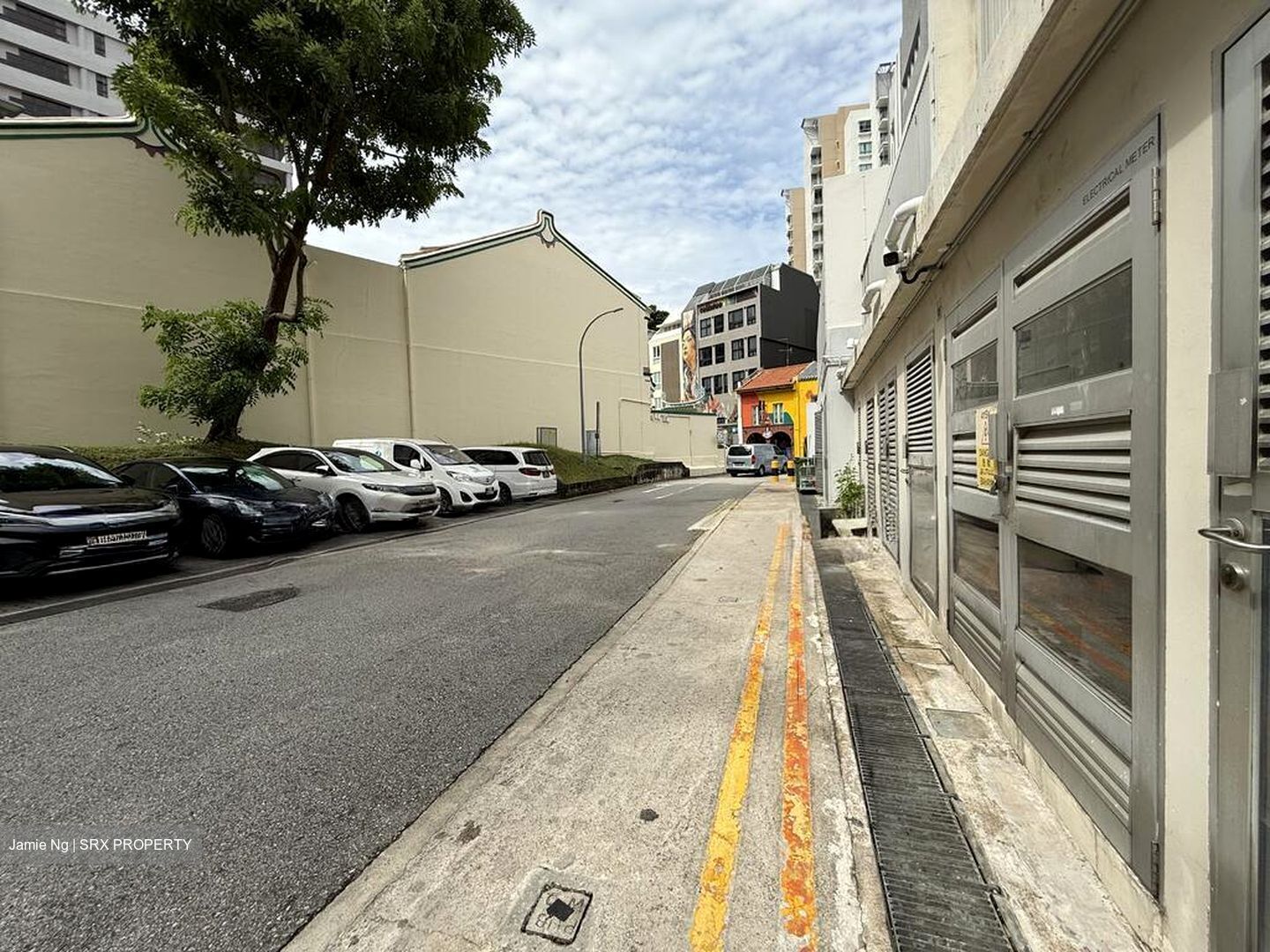 Mohamed Sultan Road (D9), Shop House #496272971